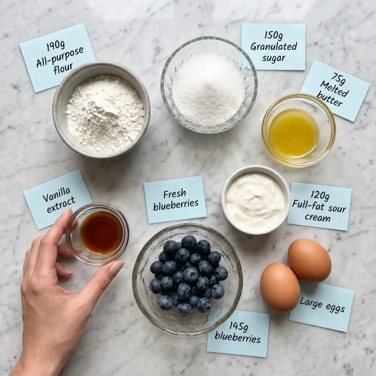 blueberry muffins ingredient